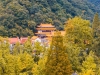 漫步银杏大道邂逅治愈系油画秋天！随州大洪山秋日打卡攻略