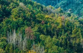 出片率100%！随州这里的秋天太美了