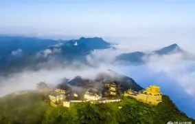 吃住行游全免！跟着湖北文旅去随州赏银杏
